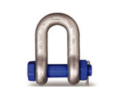 草莓视频在线观看视频DX型卸扣